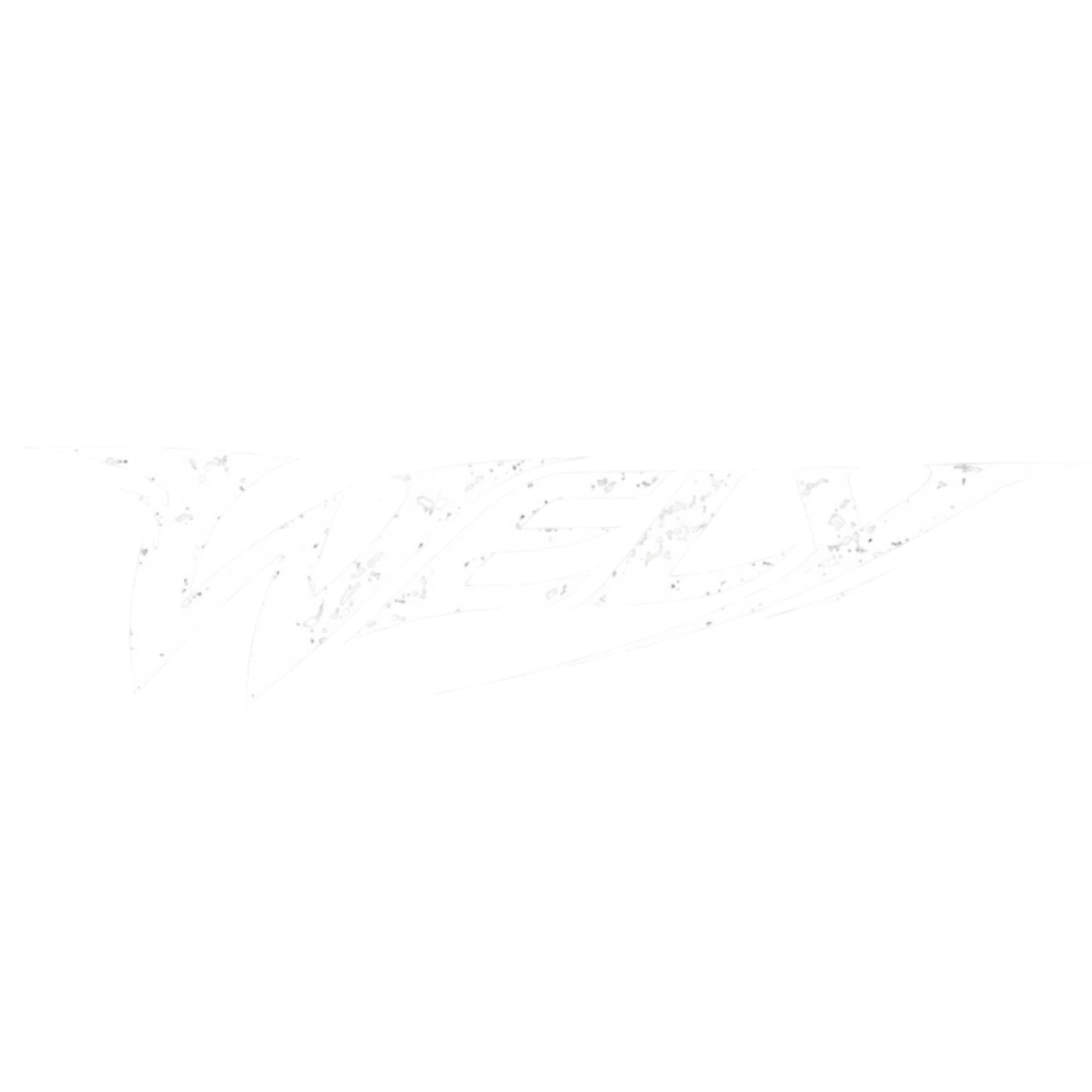 WELYUSA